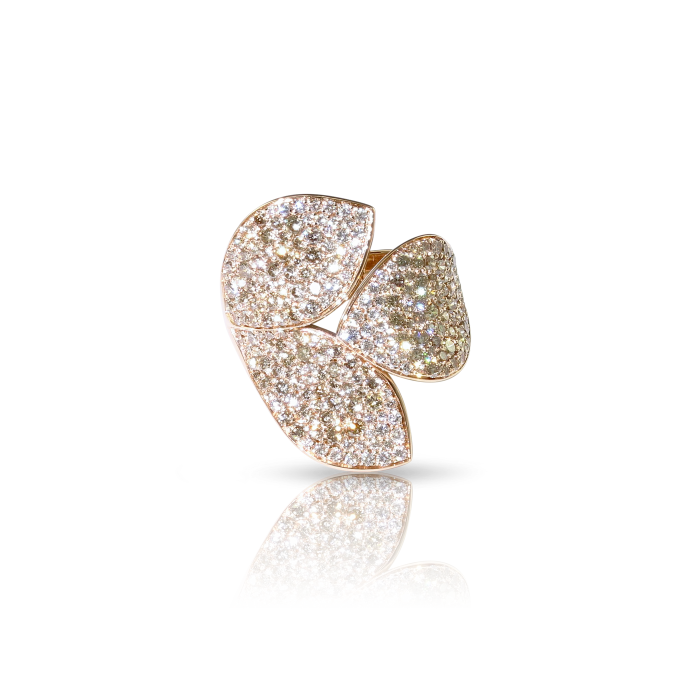 Anello Giardini Segreti